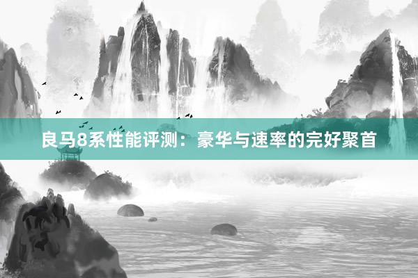 良马8系性能评测：豪华与速率的完好聚首